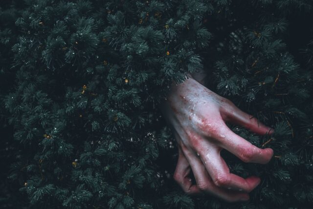 Psychodeliki: Przewodnik po podróży umysłu
